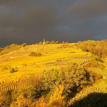 Wine Passion Panoramic Hotel Chavanay Eksteriør billede