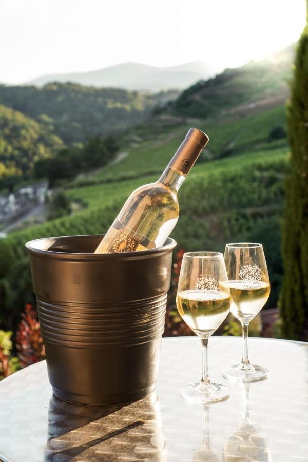Wine Passion Panoramic Hotel Chavanay Eksteriør billede